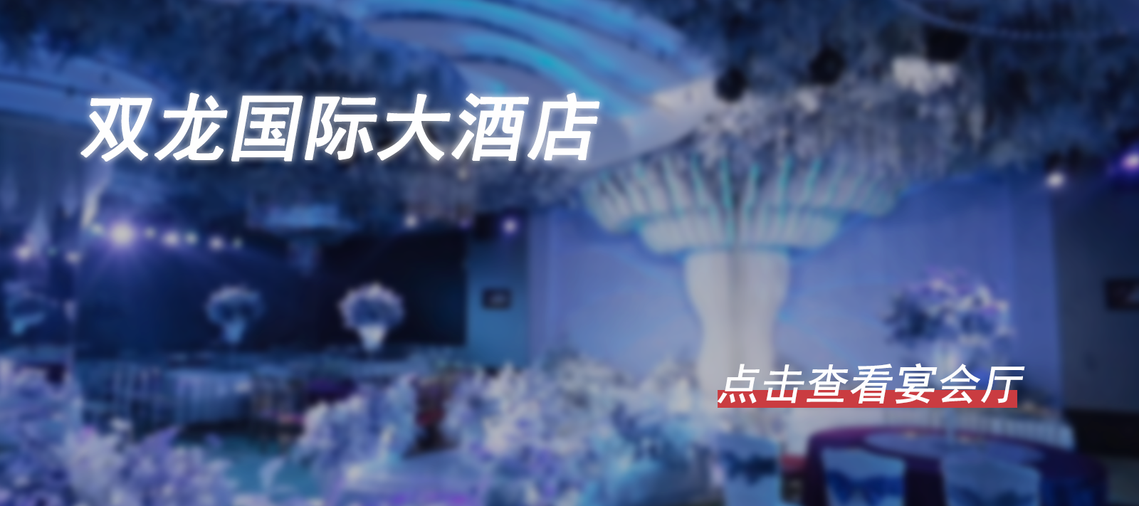 双龙国际-热心市民的小屋